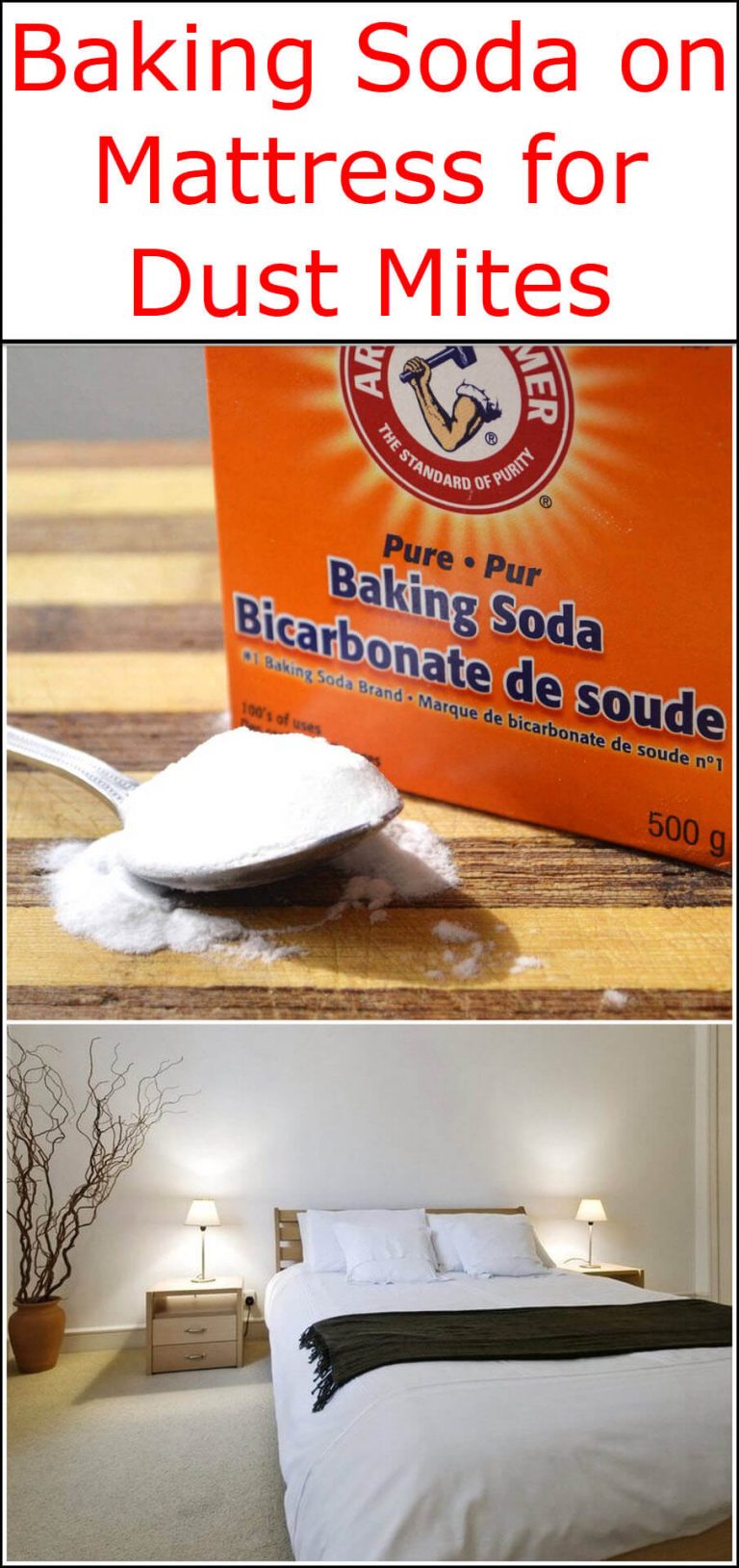 baking soda on mattress for bed bugs